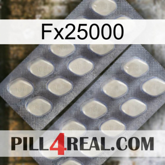 Fx25000 07